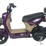 Electric Skateboard Factory - OEM Hot-selling 48V12A E-bike