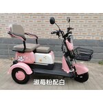 Electric Motorcycle Tricycle Factory - OEM 3 Wheels for Ladies