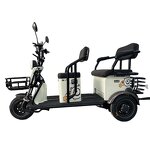 Electric Tricycle Manufacturer - OEM 3 Wheel Agricultural Double Row