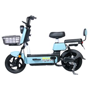 Electric Scooter Factory - OEM Low Price 48V12A Lead-Acid