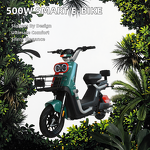Electric Moped Factory - OEM 350W Long Range Removable Battery