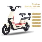 Electric Bicycle Factory - OEM 500W Brushless Aluminum Alloy City