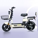 Electric Motorcycle Manufacturer - OEM 48V12A Low Price Outdoor