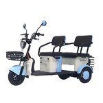 Electric Tricycle Manufacturer - OEM 3 Wheel Agricultural Double Row