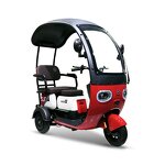 Electric Tricycle Manufacturer - OEM 600W Brushless Differential