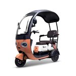 Electric Tricycle Manufacturer - OEM 600W Brushless Differential