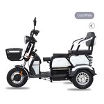 Electric Tricycle Factory - OEM Open-Body 48v 60v Two-Seater