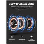 Electric Mountain Bike Factory - OEM 60km Range Drum Brake