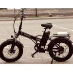 Cargo Electric Bike Factory - OEM 3Speed 48V 500W 20 Inch
