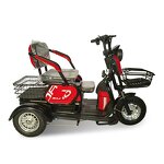 Electric Tricycle Factory - OEM 600W Multi-purpose for Disabled