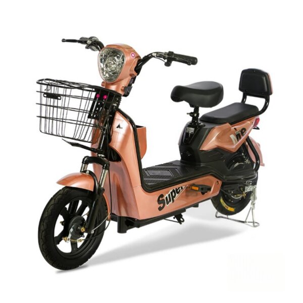 Electric Bike Kit Manufacturer - OEM with Battery for Adult Men