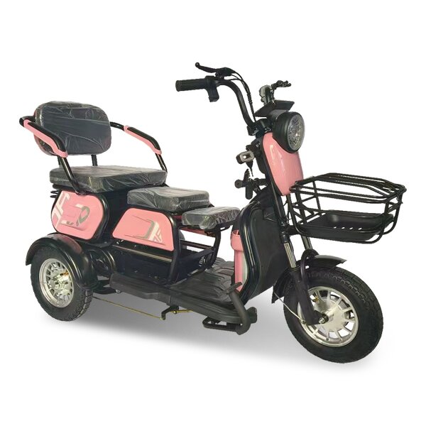 Electric Tricycle Factory - OEM Open-Body 48v 60v Two-Seater
