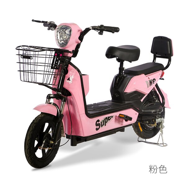 Electric Bicycle Manufacturer - OEM Portable 48V12A City Ebike