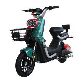 Electric Moped Factory - OEM 350W Long Range Removable Battery