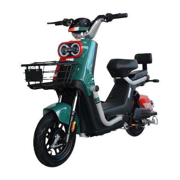 Electric Moped Factory - OEM 350W Long Range Removable Battery