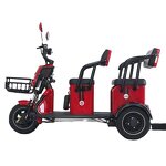 Electric Tricycle Manufacturer - OEM 3 Wheel Agricultural Double Row