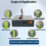 Strapping Machine Manufacturer - Automatic Electric For Food