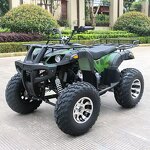 ATV Quad Factory - 250cc Automatic Chain Drive Metal
