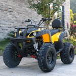 ATV Quadriciclo Manufacturer - 250cc EEC Certified