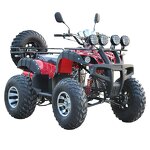 ATV Quad Bike Factory - 200cc 4x4 Gas/Electric OEM