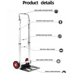 Electric Tiger Cart Manufacturer - Lightweight Heavy Duty Three-Wheel