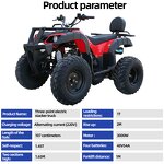 ATV Quad Factory - 250cc Automatic Chain Drive Metal