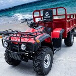 ATV Quad Factory - Euro4 250cc Metal Construction