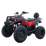 ATV Quad Factory - 250cc Automatic Chain Drive Metal