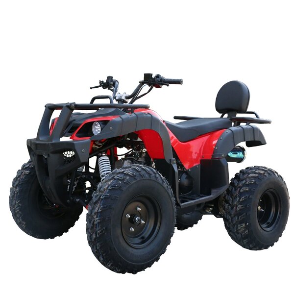 ATV Quad Factory - 250cc Automatic Chain Drive Metal