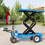 Electric Forklift Factory - 4.5 Meters 2 Ton Capacity