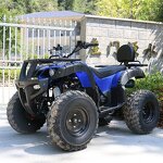 ATV Quad Manufacturer - Euro4 250cc EEC Certified
