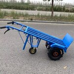Electric Flatbed Truck Manufacturer - Two-Wheel Steel Platform Tiger