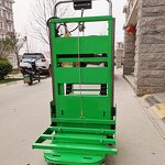 Electric Flatbed Truck Manufacturer - Two-Wheel Tiger Cart Small