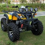 ATV Quad Bike Factory - 200cc 4x4 Gas/Electric OEM