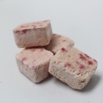 冻干酸奶源头工厂 - 巧克力涂层块状代工