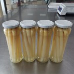 冻干冰淇淋生产厂家 - 草莓巧克力代工