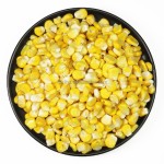 冻干玉米生产厂家 - 整粒黄玉米代工