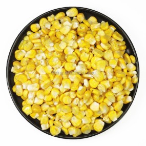 Freeze Dried Corn Manufacturer - OEM Whole Yellow Corn