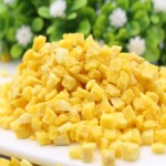 冻干芒果粉源头工厂 - 果汁饮品代工