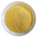 冻干芒果粉源头工厂 - 果汁饮品代工