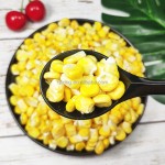冻干玉米生产厂家 - 整粒黄玉米代工