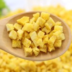 冻干芒果源头工厂 - 干燥健康脆片代工