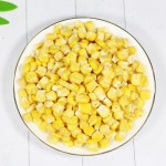 冻干玉米生产厂家 - 辣味洋葱粒代工