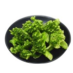 冻干蔬菜生产厂家 - 西兰花胡萝卜玉米代工