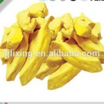 冻干菠萝蜜源头工厂 - 热带FD零食代工