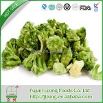 冻干西兰花粉生产厂家 - 批量粉末代工