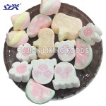 冻干棉花糖生产厂家 - 2024新款设计代工