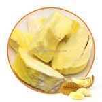 冻干榴莲生产厂家 - 100%天然批量代工