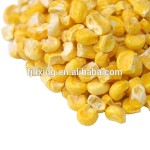 冻干玉米生产厂家 - 整粒黄玉米代工