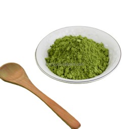 抹茶提取物源头工厂 - 日式茶粉代工